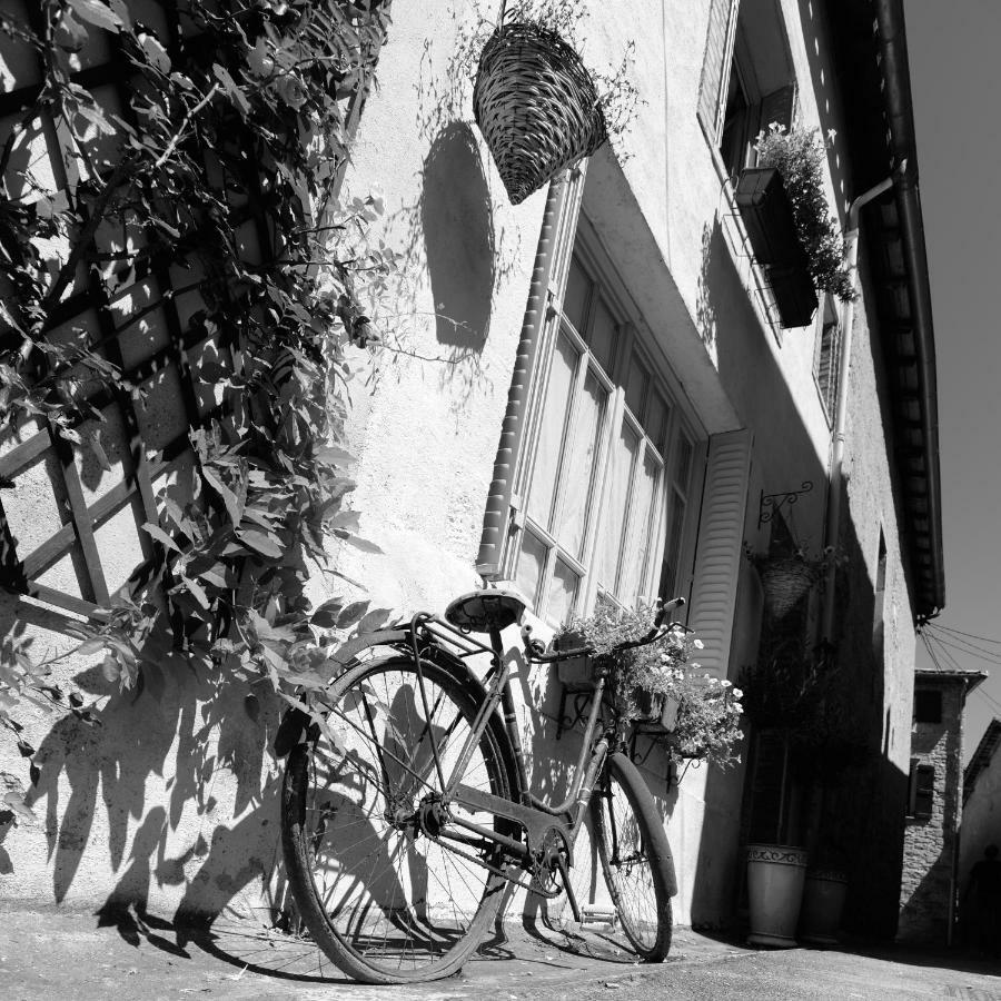 L'Otium Bed & Breakfast Saint-Antonin Dış mekan fotoğraf